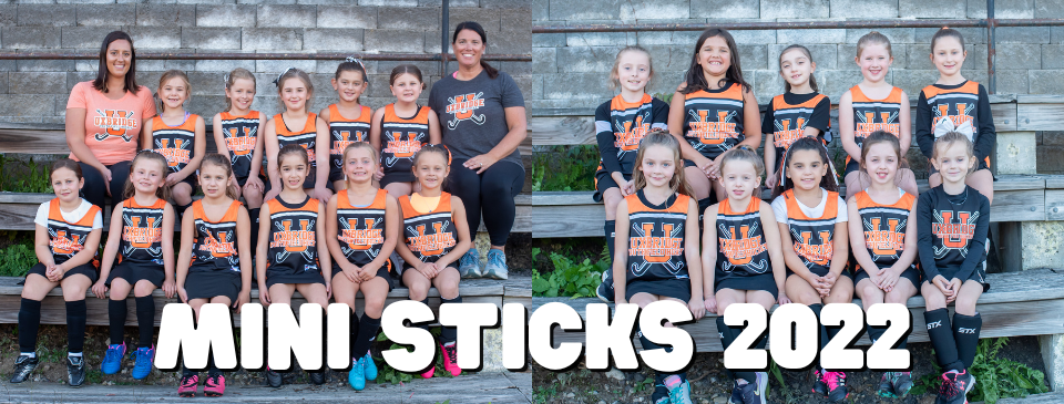 Mini Sticks Teams